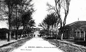 SIDI-BEL-ABBES - AVENUE DES ARENES - 1913